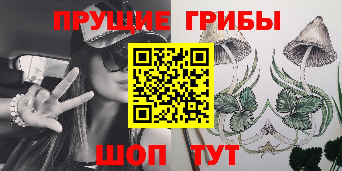 Галлюциногенные грибы мицелий  Псилоцибиновые грибы GOLDEN TEACHER  Вход с VPN  Приморско-Ахтарск 