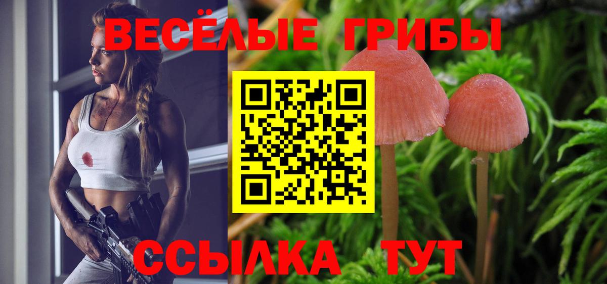 Галлюциногенные грибы MAGIC MUSHROOMS Приморско-Ахтарск